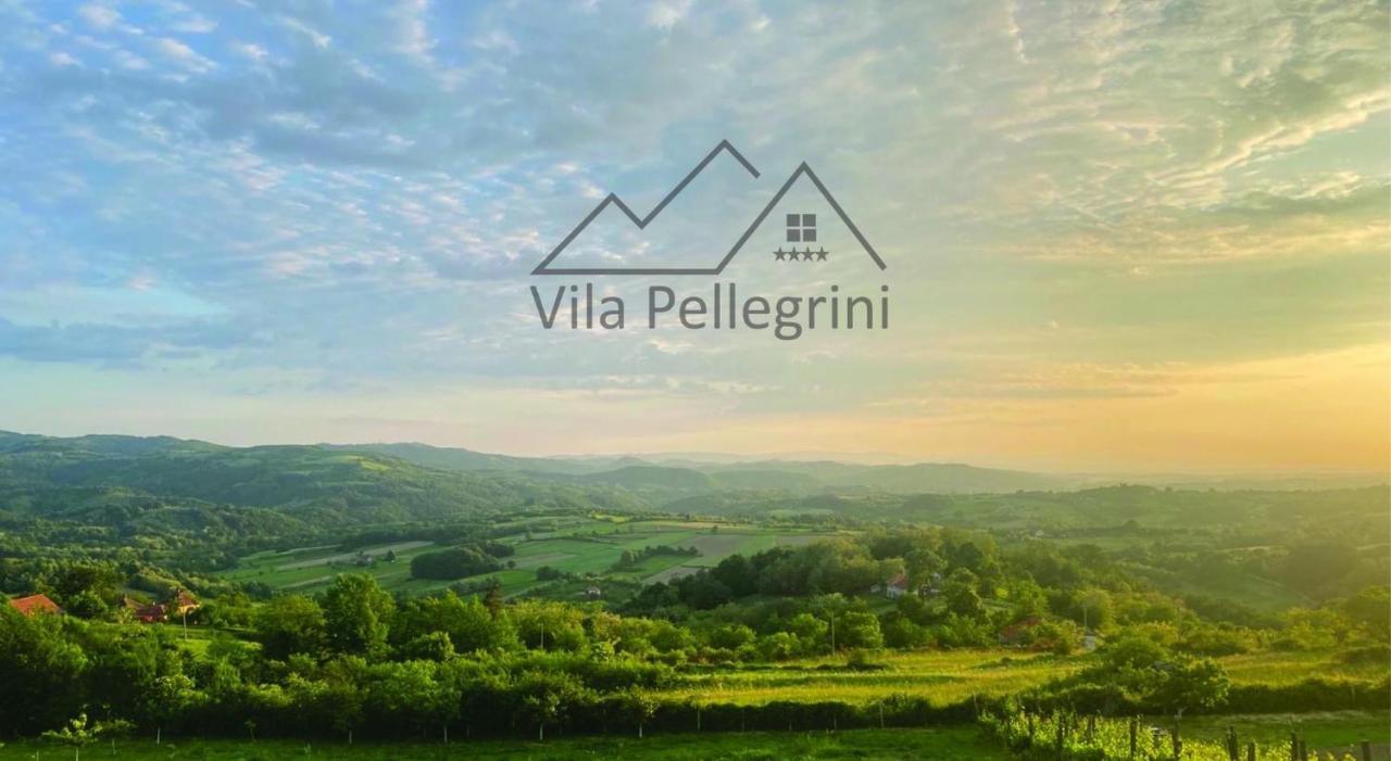 Vila Pellegrini Аранджеловац Екстериор снимка